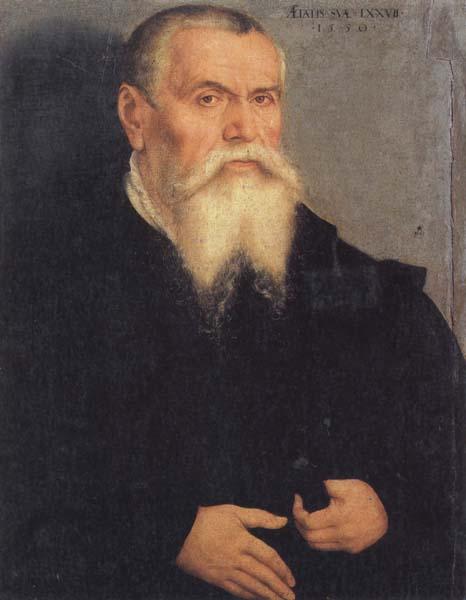 Lucas Cranach Portrait of Lucas Cranach the Elder
